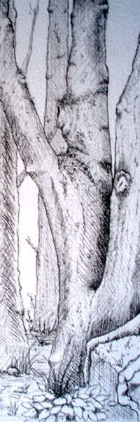 Christophe Eudeline. Crayonné arbre