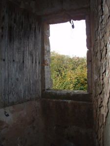 Celon-074.jpg