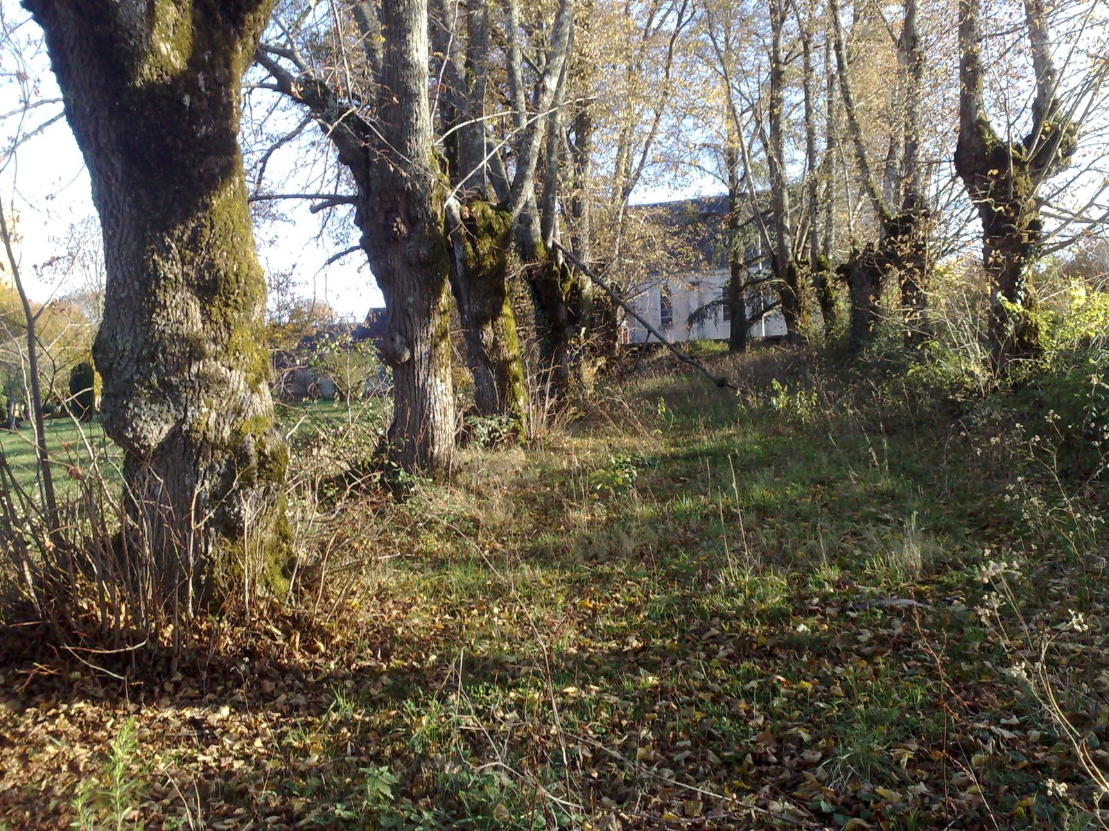 espace de rencontres