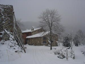 Neige----blanc-Janvier-2006-014.jpg