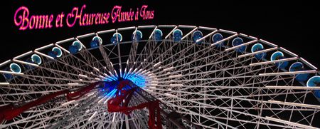 Bonne-annee-2010.jpg
