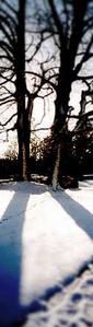 winter.jpg