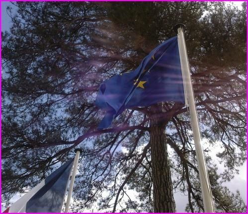drapeaux-s.jpg