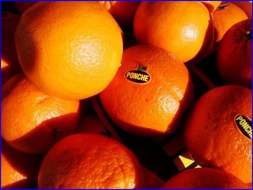 oranges-s.jpg