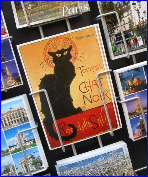 chat-noir-s.jpg