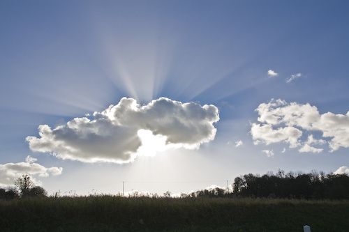 IMG-2113.jpg