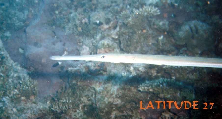 premiere rencontre sentiment