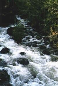 vortex-creek.jpg