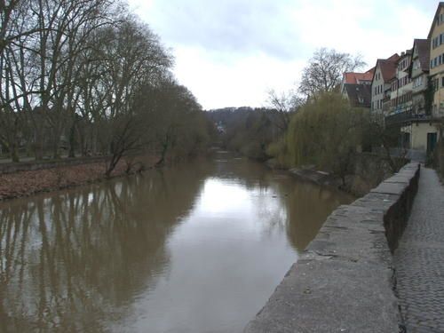 Bord-du-Neckar--20-.JPG
