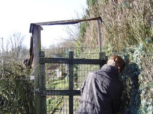 DSC00704-copie-1.JPG
