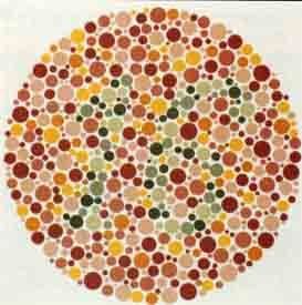 ishihara.jpg