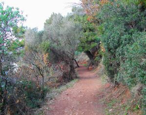 st-jean-chemin.jpg