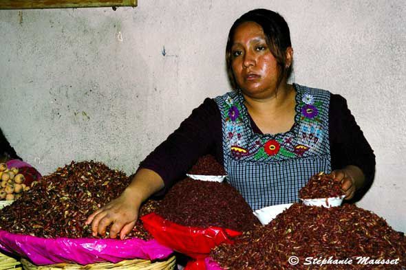 chapulines1.jpg