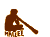 icon.gif