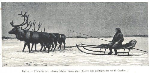 Prikolnye les images au sujet la pêche