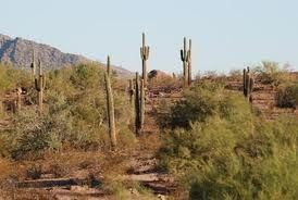 papago-park.jpg