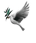 oiseaux-colombe-4.gif