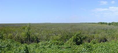img1168.jpg