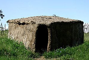 211_1137.jpg
