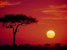 kenya.jpg