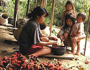 20061204_achuarfruit.jpg