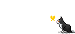 46217497