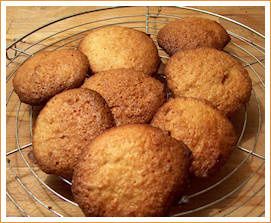 macarons classiques Adam macarons classiques Adam