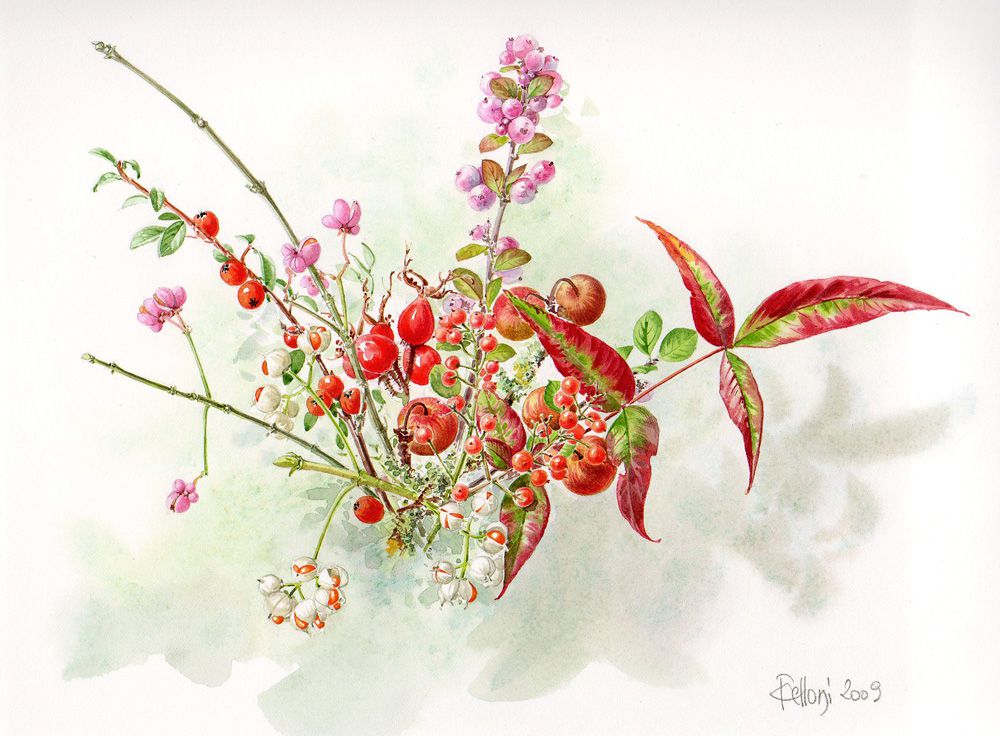 2ème Week-end d'atelier : Le bouquet de Baies - aquarelle-bota-clairefelloni