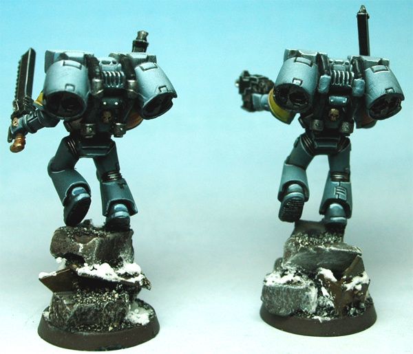 SpaceWolf DorsalPack 6