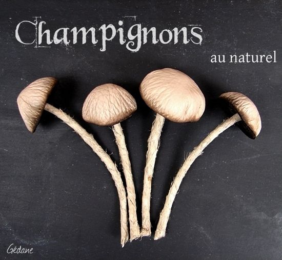 champignons-cuir.JPG