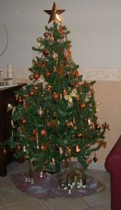 sapin-2007.jpg