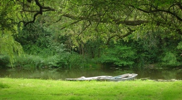 verdure-2.jpg