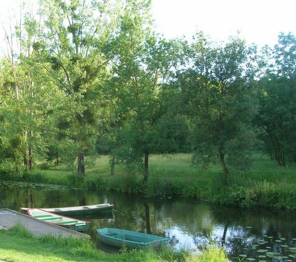 verdure-4.jpg