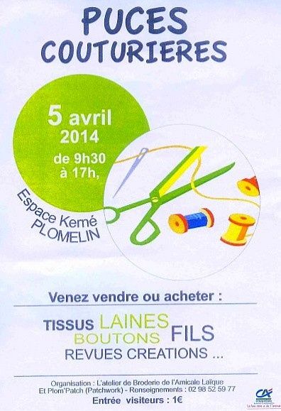 puces-de-plomelin.jpg