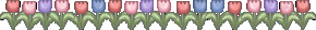 cutecolorsbunline2-copie-1.gif
