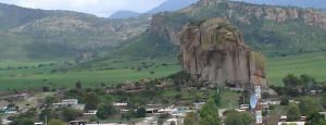 flores10.jpg