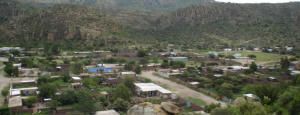 flores8.jpg