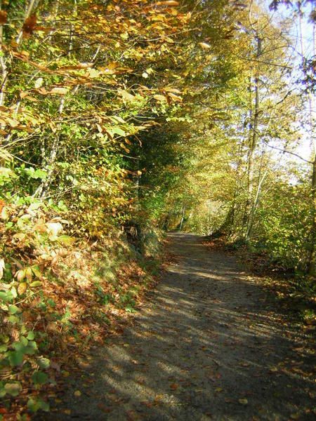 Rencontre bois de pau