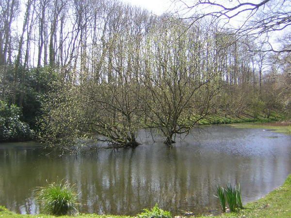 rencontre bois de keroual
