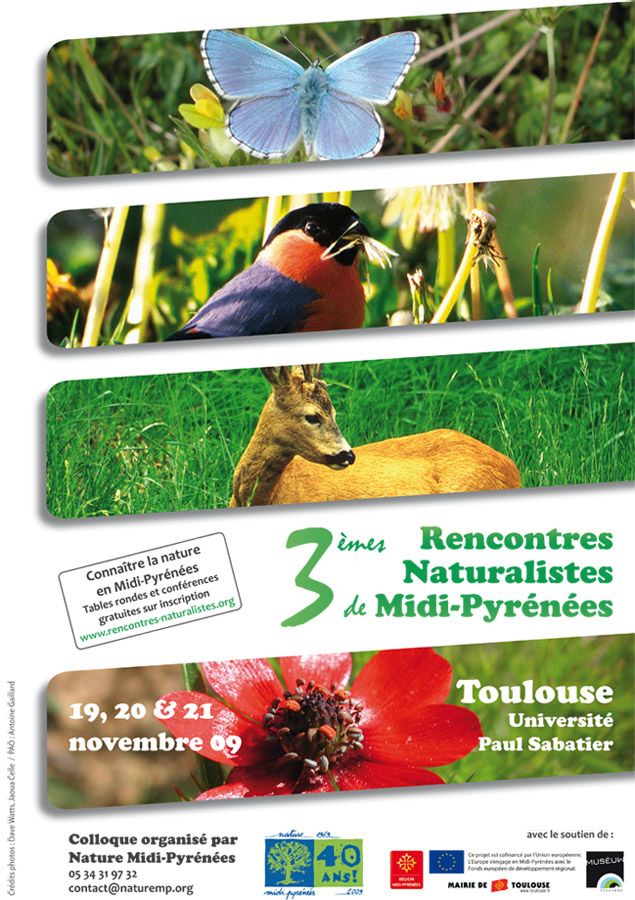 Rencontre midi-pyrenees toulouse