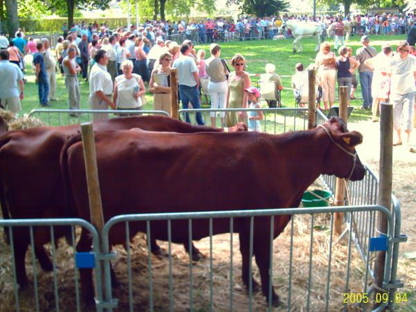 Fête du Parc Naturel des Caps et Marais d'Opales à St-Omer en 2005