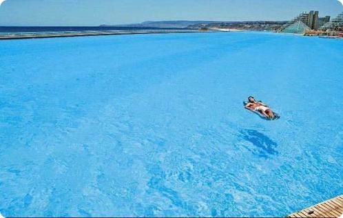 La plus grande piscine du monde