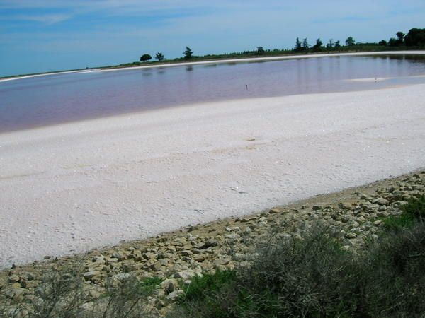 Aigues Mortes, Salins du midi, Grau du Roi et camargue...