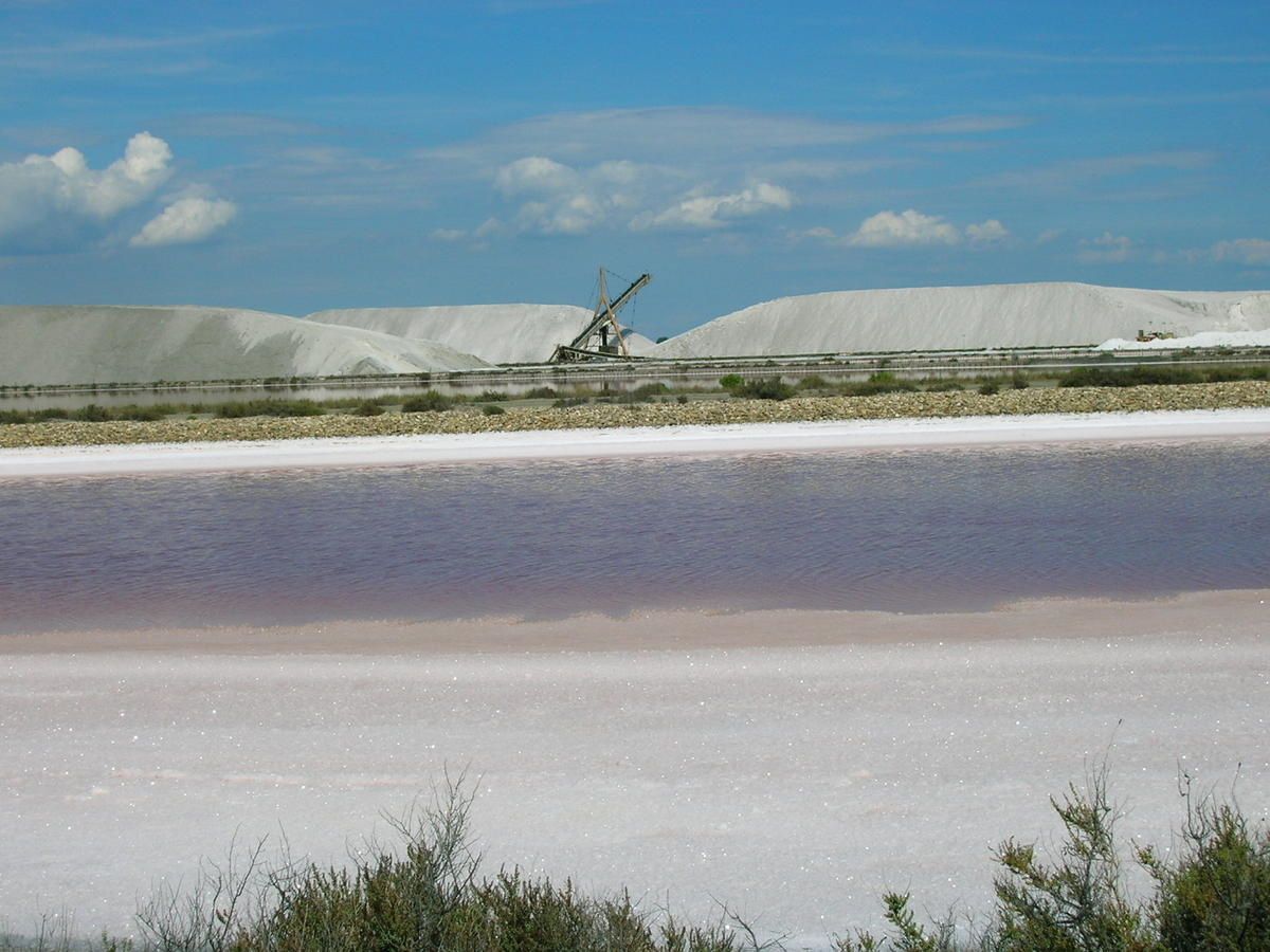 Aigues Mortes, Salins du midi, Grau du Roi et camargue...