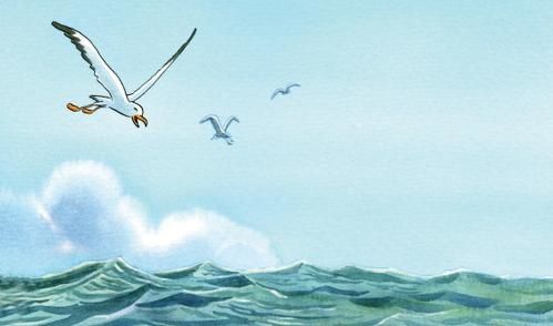 Mouette-copie-2.jpg