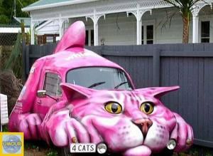 voiture-chat-rose.jpg