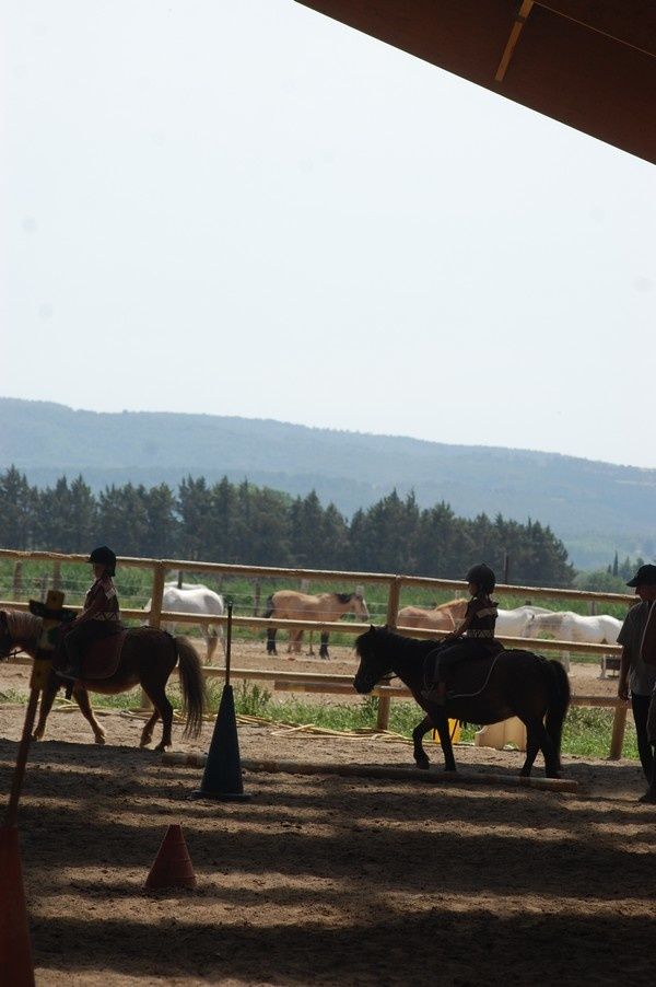 Equitation-3.jpg