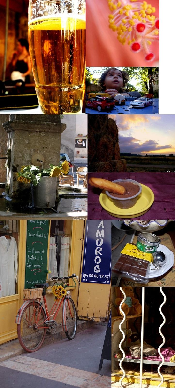 collage.jpg