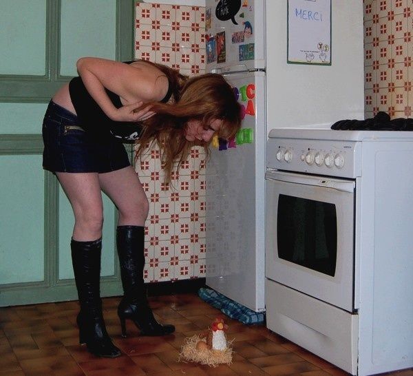 poule.jpg