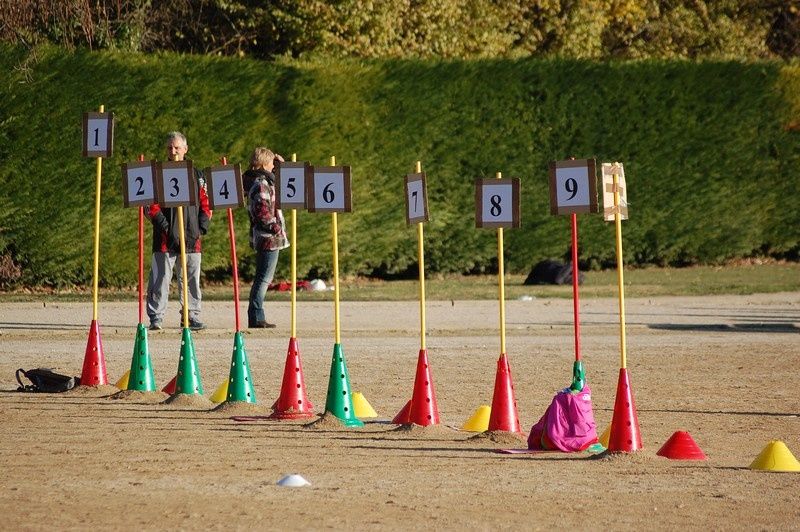 Competition-d-atletisme-4.jpg